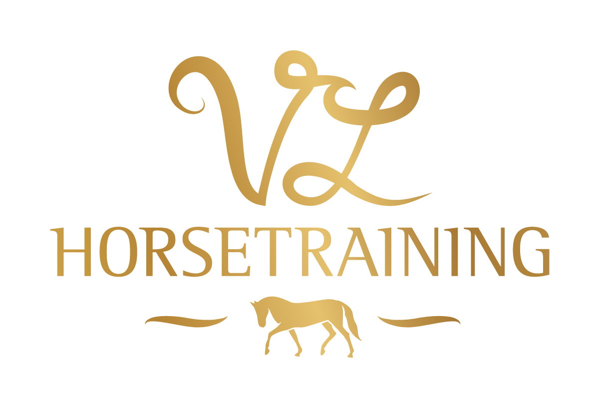 VL Horsetraining - Maurach am Achensee